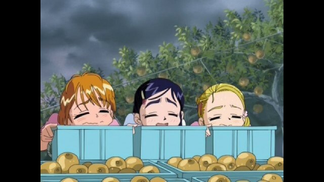 第27話残った宿題片付けろ! 梨と嵐とザケンナー!!