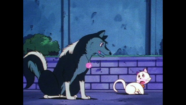 第20話 「狼はひとりぼっち」