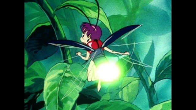 第41話 真夏の夜のホタル