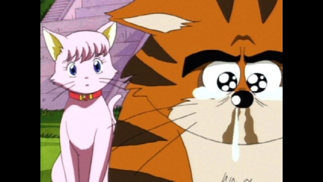 第5話 仁義なき猫戦争!