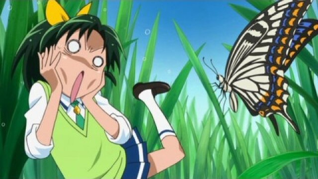 第11話 プリキュアがチイサクナ~ル!?