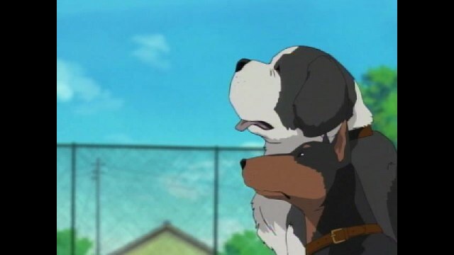 第108話 魔犬の森の殺人 ファイル4