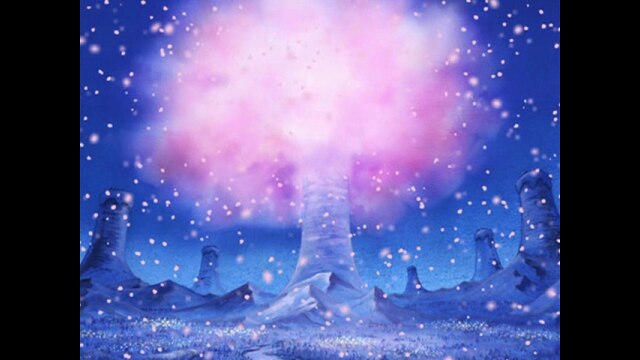 第90話 ヒルルクの桜! ドラムロッキーの奇跡