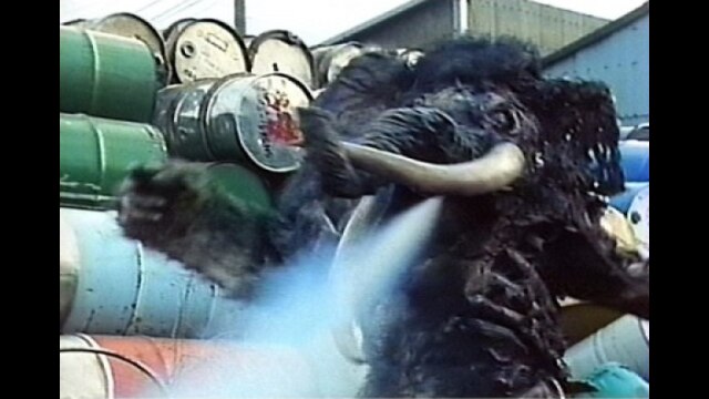 第14話 マグロが消えた日