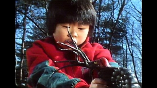 第23話 マルモの魔法の力