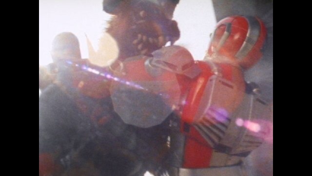 第29話 ある哀しいのら犬の物語