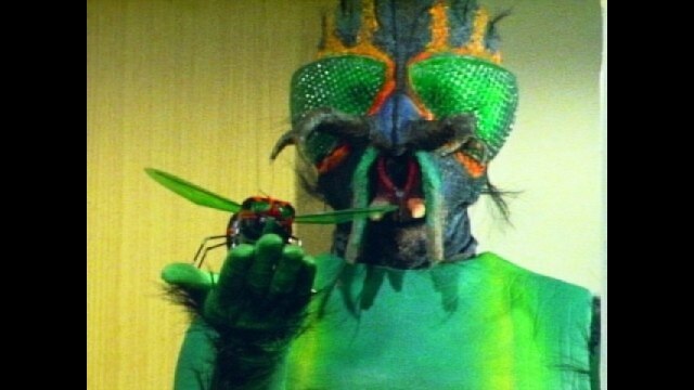 第42話 悪魔の使者 怪奇ハエ男