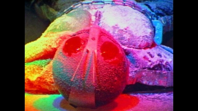 第47話 死を呼ぶ氷魔人トドギラー