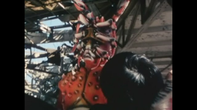 第10話 見た!カニンガージンの秘密