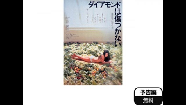 ダイアモンドは傷つかない [DVD] p706p5g - その他