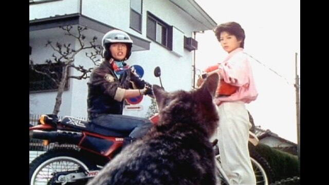 第15話 暴走ライダー麻衣