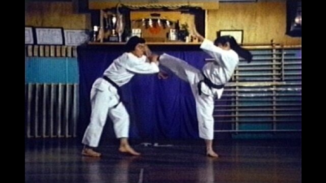 第3話 5フラッシュ!!ほえろパンサー