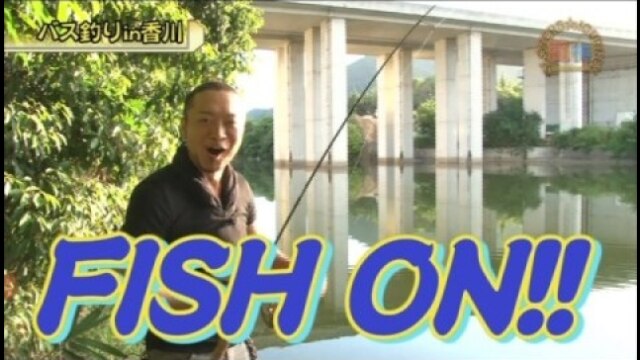 #273 パチスロ蒼天の拳2/バジリスク~甲賀忍法帖~II/ニューパルサーSP/ニューアイムジャグラーEX