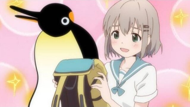 七合目 デイパック、どれにする?