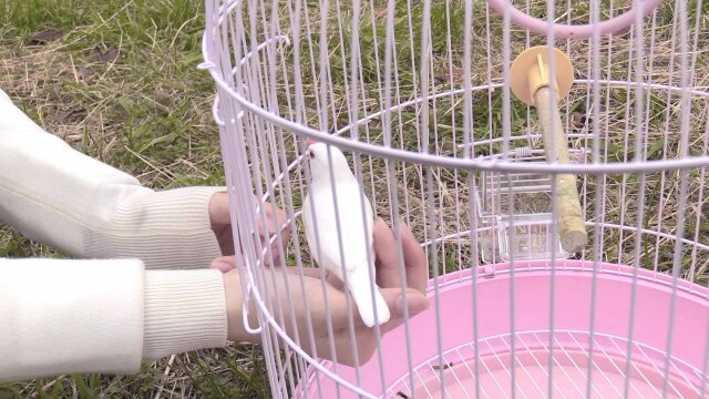 心霊 ~パンデミック~ フェイズ6