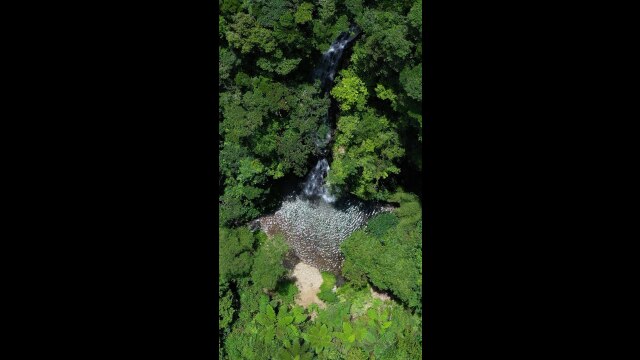 世界自然遺産 空からの奄美大島 From Sunrise to Sunset 前篇