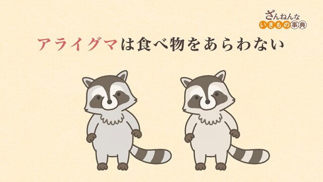 ep2 アライグマは食べ物をあらわない/サバクツノトカゲはピンチになると、目から血を出す/オカモノアラガイはびょうきになるとキャラが変わる