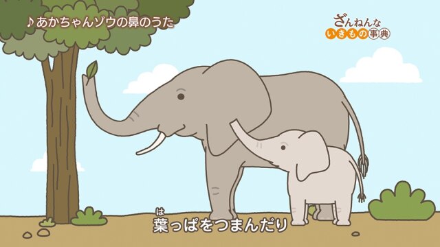 ep7 ウミイグアナはくしゃみをすると塩が出る/ハチドリはつねに蜜をなめていないと餓死する/うまれたばかりのゾウは長い鼻をもてあます