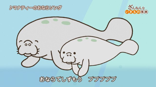 ep12 マナティーはしょっちゅうおならをする/キリンの熟睡時間は超短い/カメムシは、⾃分のにおいがくさすぎて気絶する