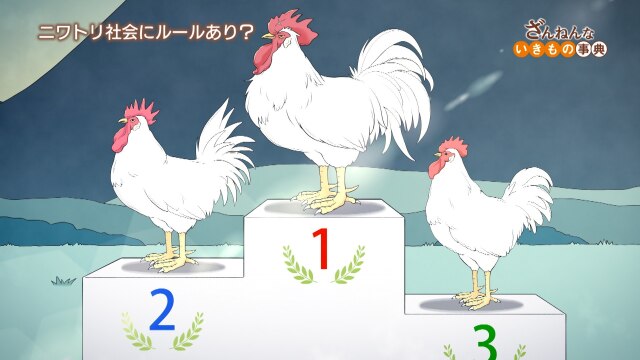 ep18 弱いニワトリは鳴きたくても鳴けない/ほとんどのホタルは光らない/一匹オオカミは弱い