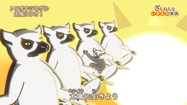 ep24 ワオキツネザルの1⽇は太陽をおがまないと始まらない/トマトは200年くらいほっとかれた/カタツムリはカラフルなうんこを心をこめておりたたむ