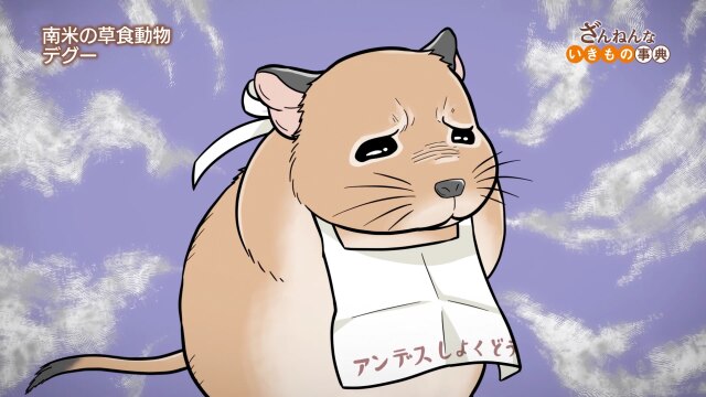 ep29 オオトウゾクカモメは罪深い/タコはイルカに遊ばれる だが、イルカはタコがつまって死ぬことがある/デグーはお腹が空きすぎるとウシのウンコに手を出す