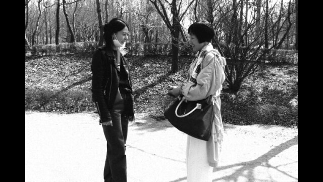 小説家の映画