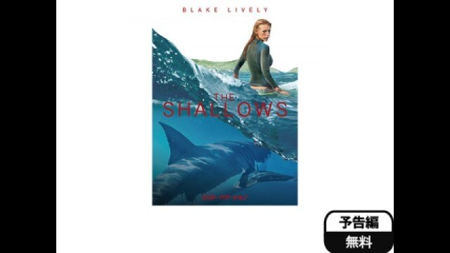 予告編(字幕版)