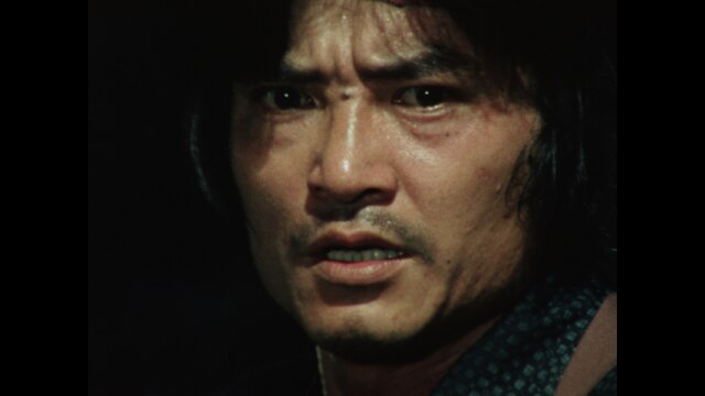 第12回 鳩に豆鉄砲をどうぞ