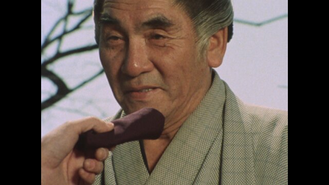 第13回 休診無用