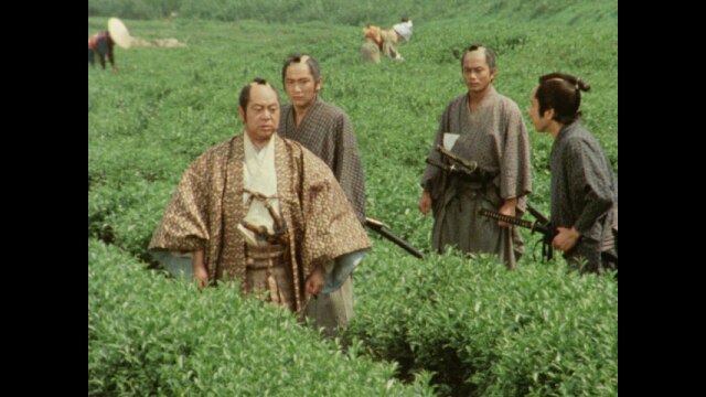 第3回 駿州片倉茶園ノ不二