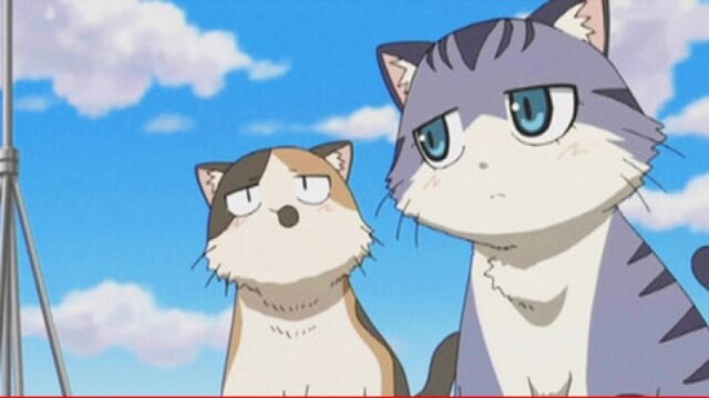 第5話 ねこねこの日
