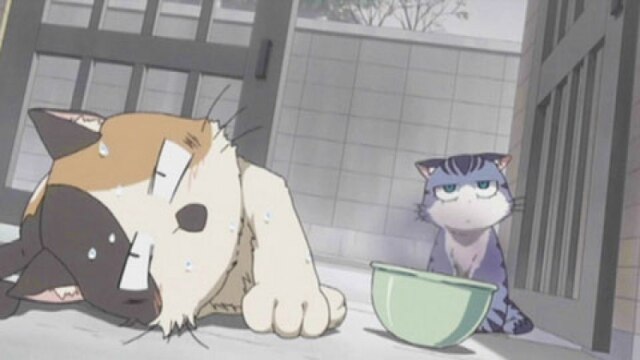 第11話 風邪の日と、ねこねこ part3