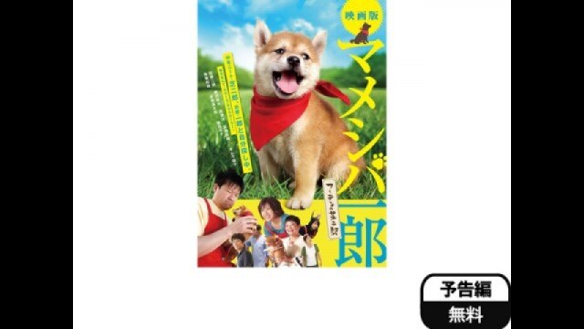 予告編