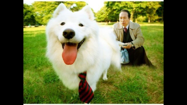 映画版 犬飼さんちの犬｜カンテレドーガ【初回30日間無料トライアル！】