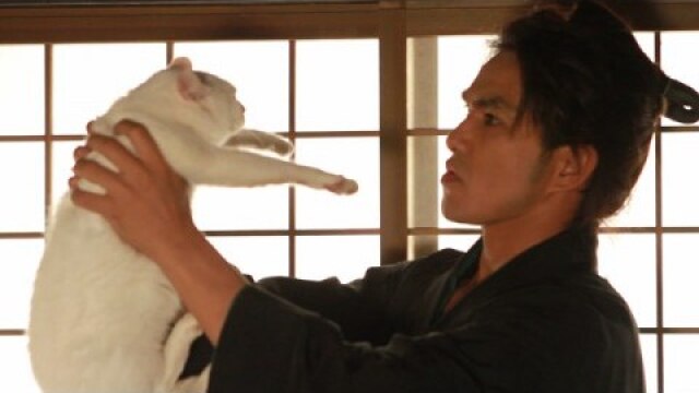 劇場版 猫侍