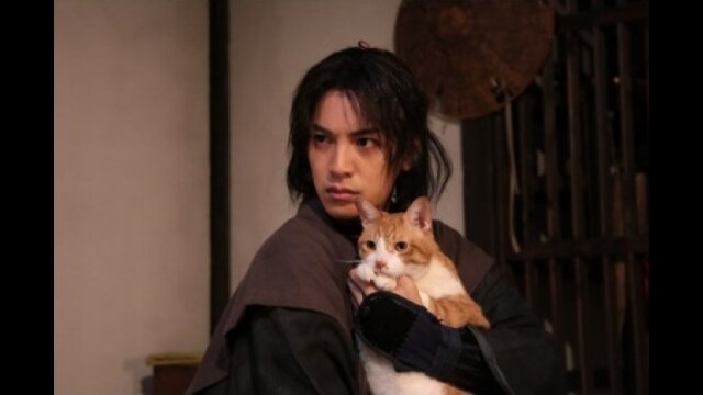 三の巻 「猫」と「金魚」!?