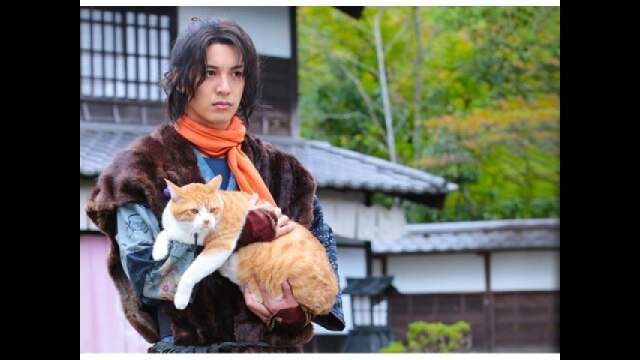 劇場版 猫忍