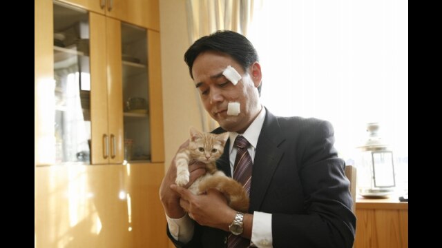 最終回 いつもの風景が、違って見えたら、吉日