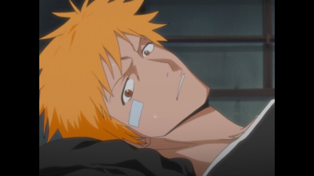 第41話 再会、一護とルキア