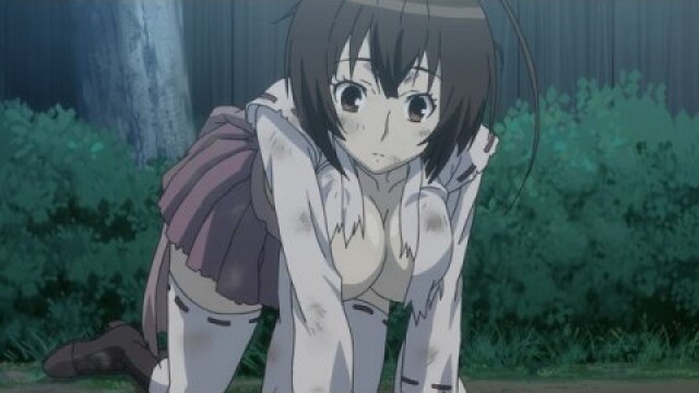 第弐羽～第六羽