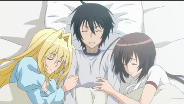 第七羽～第十弐羽