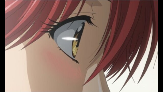 Opus 9 安らぎのコンチェルト