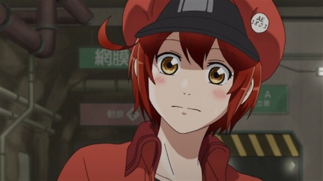#5 スギ花粉アレルギー