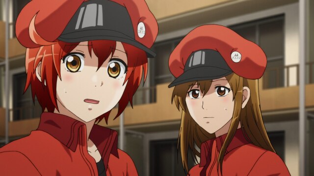 #7 がん細胞