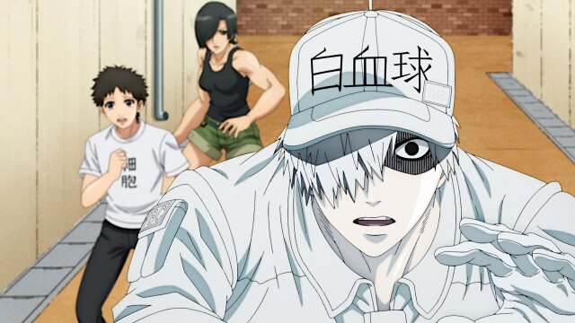 第5話 サイトカイン