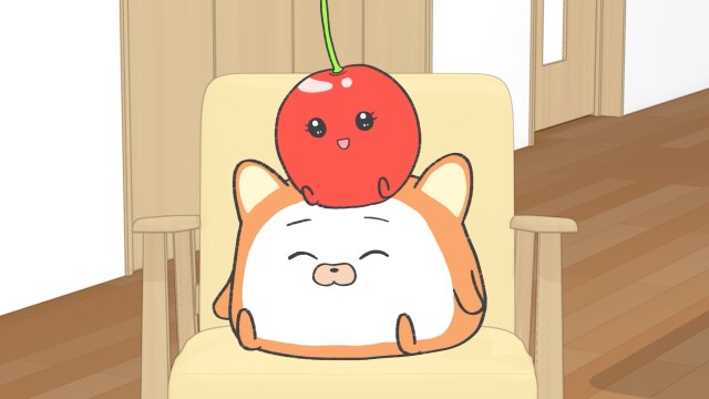 第16話 いぬぱんの1日