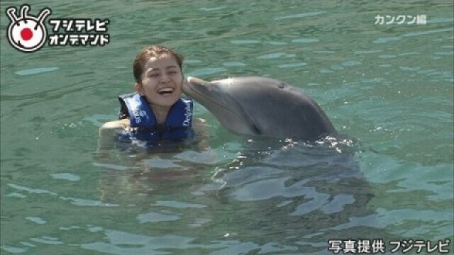 #2 カンクン編 『鈴木ちなみ、カリビアンブルーの海とイルカにビキニで大興奮!』の巻