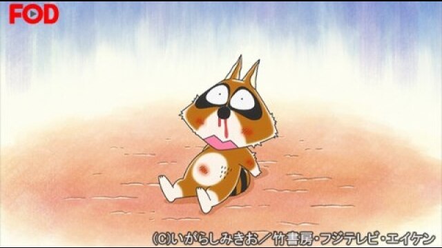 #86 アライグマくんが負けた