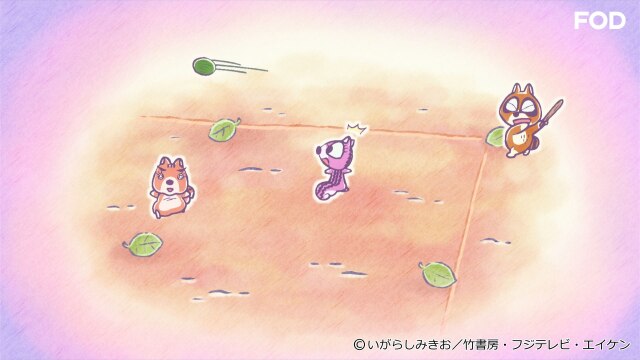 #273 ぼのちゃん～タマあそびをしよう